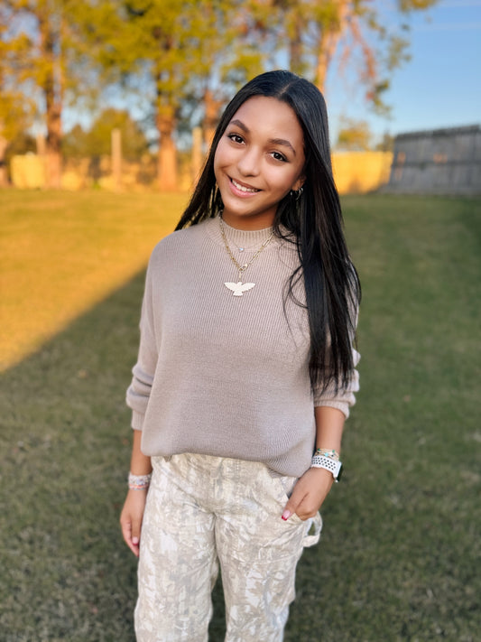 Riley Highneck Oversized Sweater (Taupe)