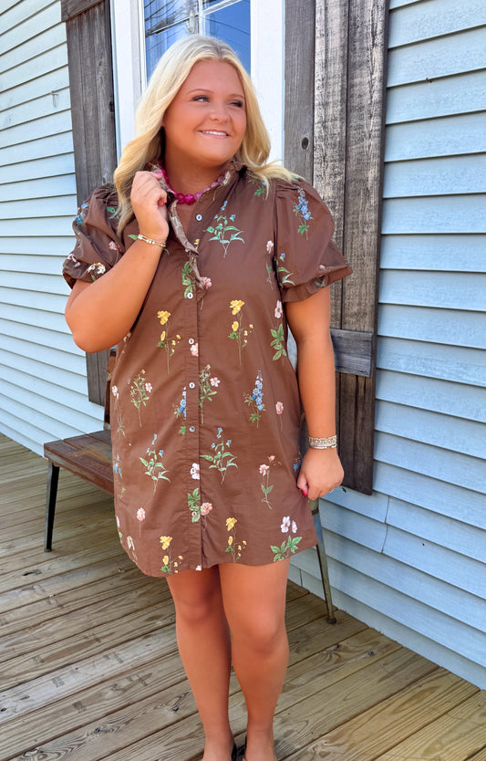 Meadow Ruffle Shirt Dress (Chocolate Brown)