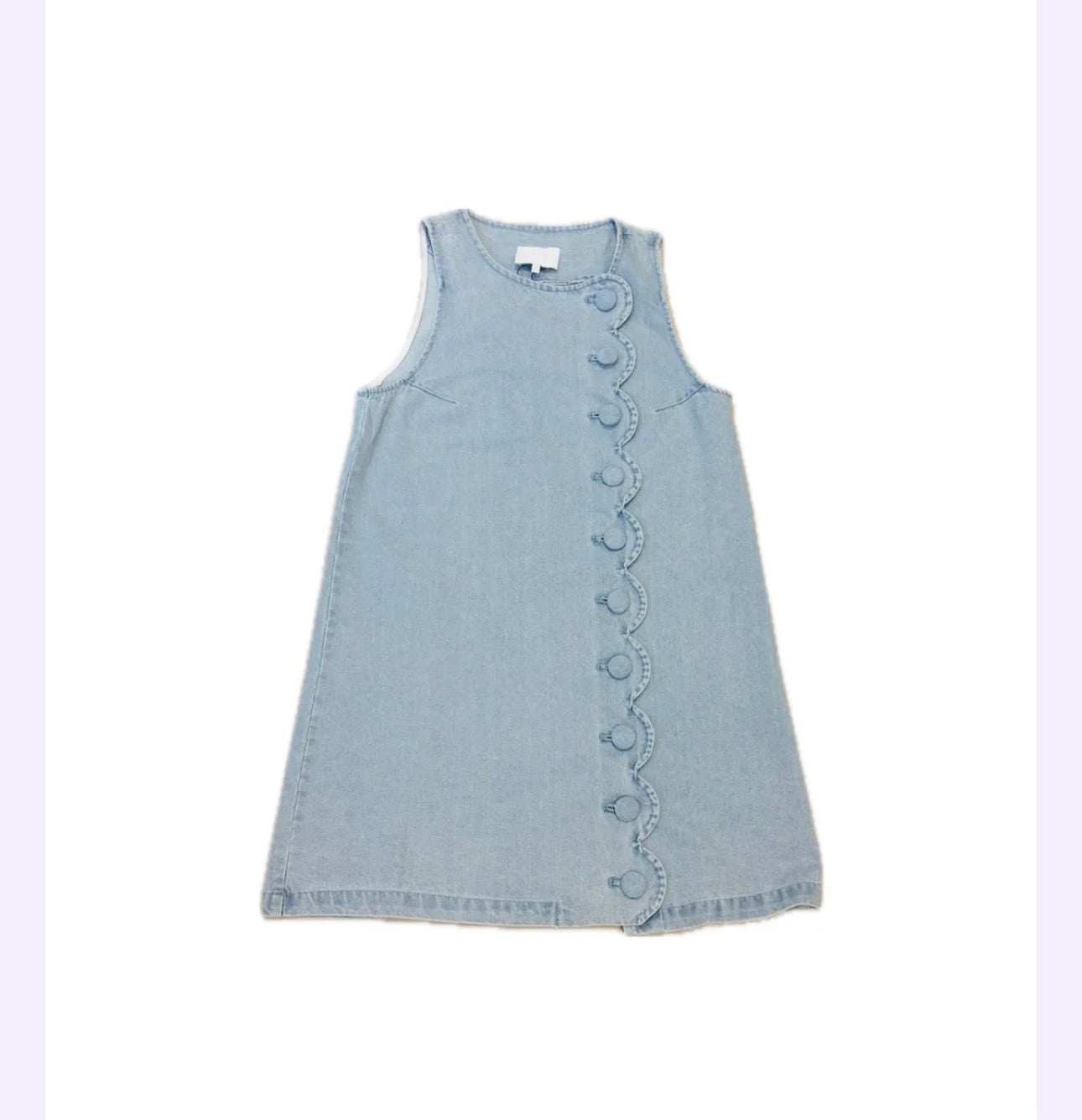Kadie Denim Mini Dress