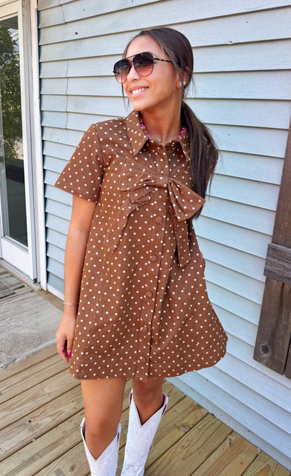 Fall Fest Polka Dot Dress (Mocha)
